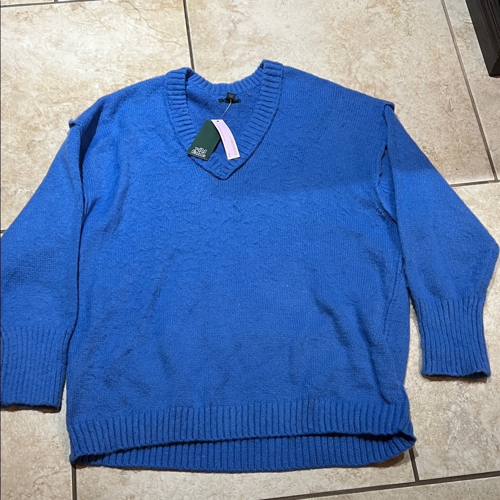 Wild Fable Blue V-Neck Sweater